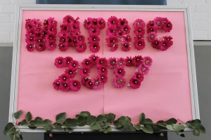 A WEEK OF FAREWELLS FOR THE CLASS OF 2017! 4 farewell 5